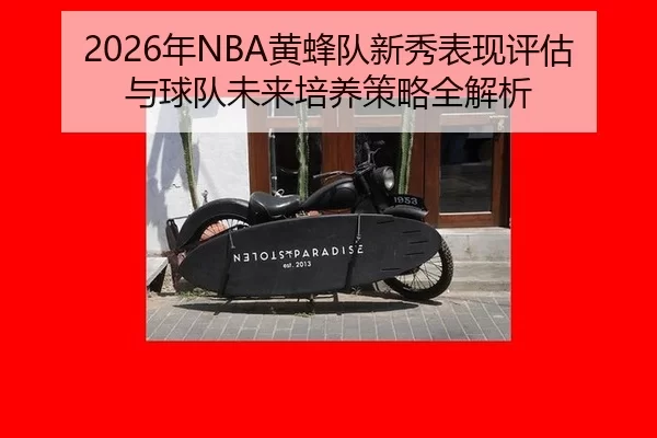 2026年NBA黄蜂队新秀表现评估与球队未来培养策略全解析