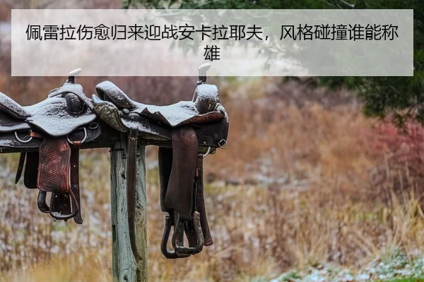 pei-lei-la-shang-yu-gui-lai-ying-zhan-an-ka-la-ye-fu-feng-ge-peng-zhuang-shui-neng-cheng-xiong-2-384.jpg