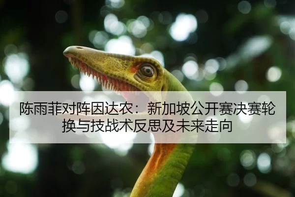 陈雨菲对阵因达农：新加坡公开赛决赛轮换与技战术反思及未来走向