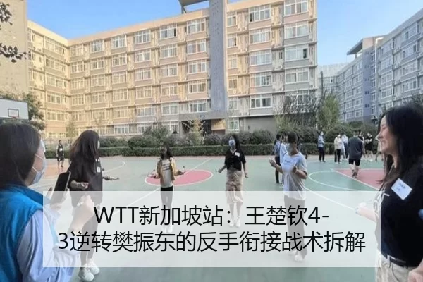 WTT新加坡站：王楚钦4-3逆转樊振东的反手衔接战术拆解