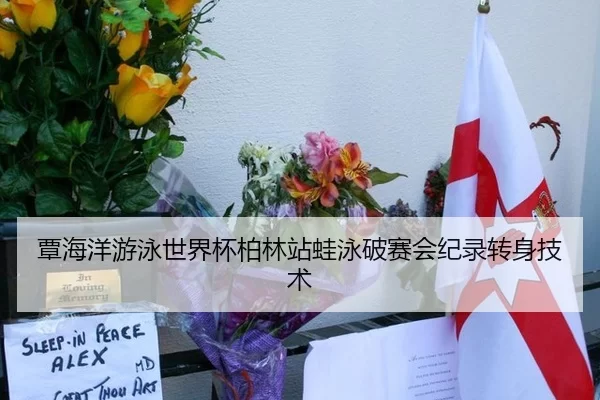 覃海洋游泳世界杯柏林站蛙泳破赛会纪录转身技术